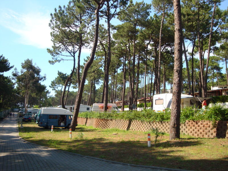 Parque De Campismo Orbitur Viana Do Castelo Hotel Екстериор снимка